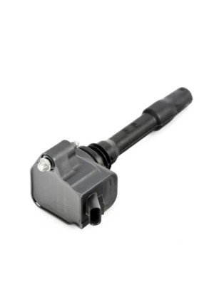 BOBINA DE IGNICAO BMW X1 F48 2016 8678438